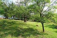 DSC05619