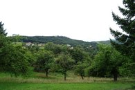 DSC07152