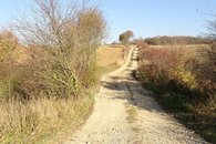 DSC09278