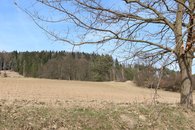 IMG_0076