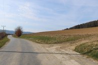 IMG_0081