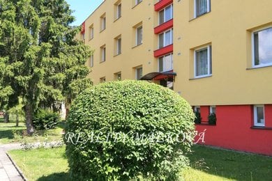 Prodej, Byty 1+1, 44m² - Pardubice - Ohrazenice, Ev.č.: 00394