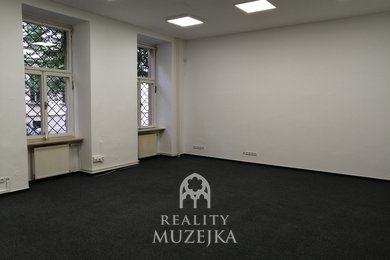 Pronájem kanceláře 44 m2 nedaleko Lužáneckého parku, Ev.č.: 000903