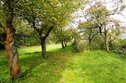 DSC07792