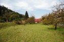 DSC07809
