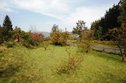 DSC07807