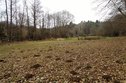 DSC03245