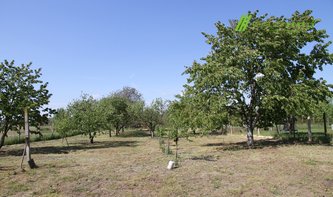 Prodej zahrady - 2492 m² - Hodonín