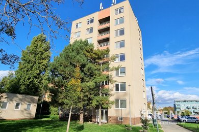 Pronájem prostorného zděného bytu 2+1 (62 m2) s lodžií, ul. Řehořova, Brno - Černovice, Ev.č.: 01186