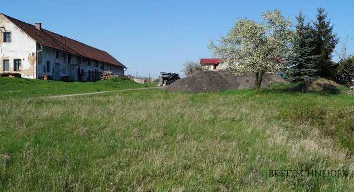DSC09542
