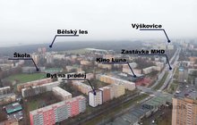 Vyskovicka-30 grafika