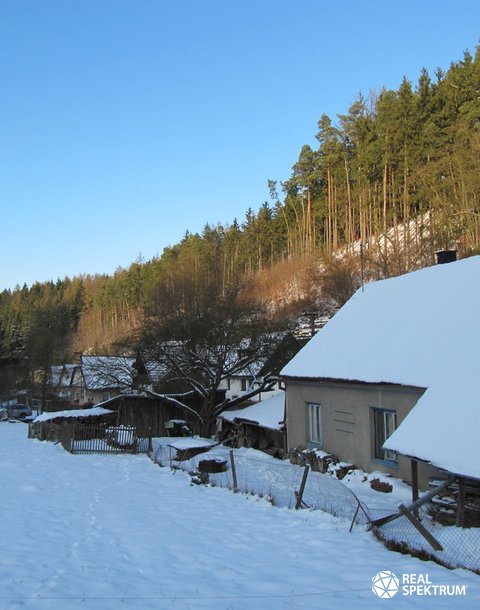 RSBS 0215_ (5