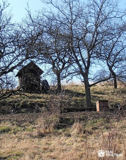 P3102947
