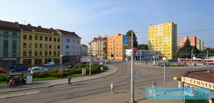 DSC_1142