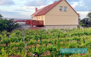 Prodej rodinného domu  330 m2, s krásným výhledem ve vinařské oblasti Pavlov, Ev.č.: 29607