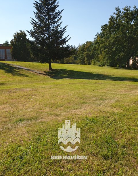 33-rozlehlá louka za domem
