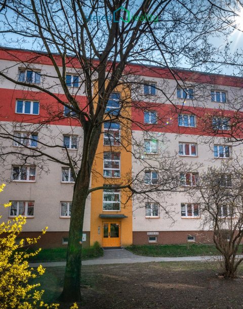 DSC09685