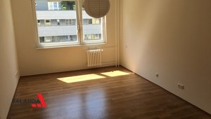 Pronájem bytu 1+kk 30 m² v Hodkovičkách