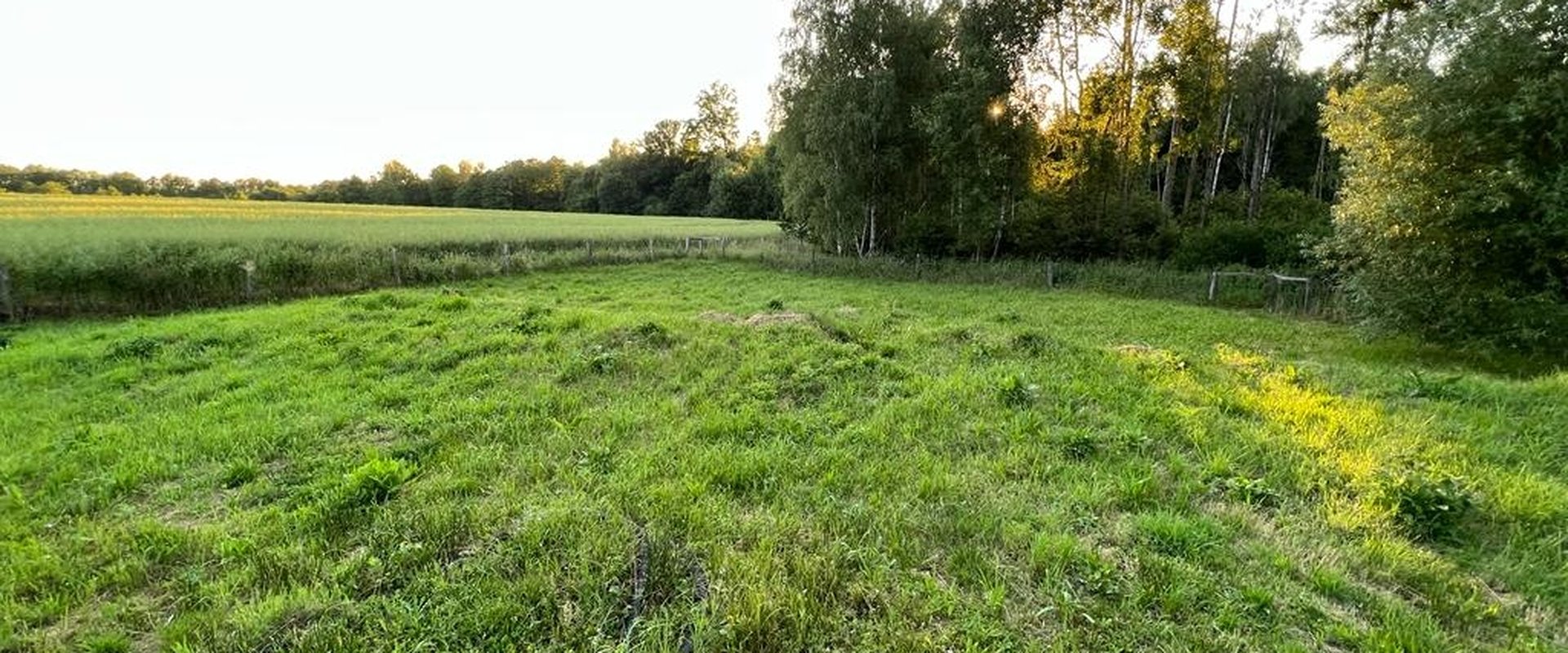 pozemek Česká Kanada