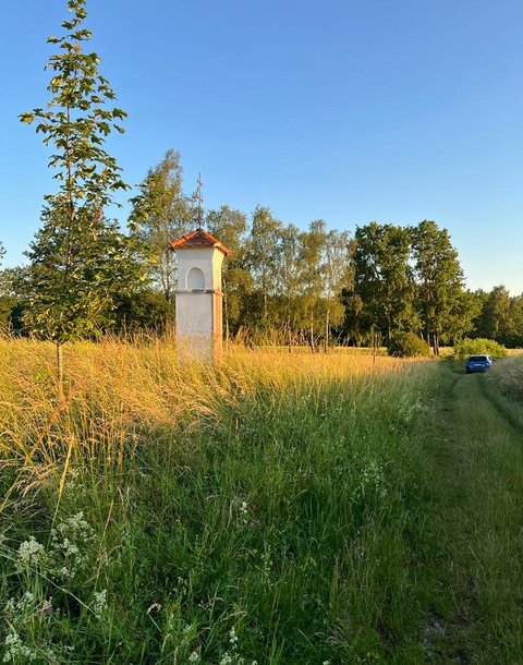 pozemek Česká Kanada