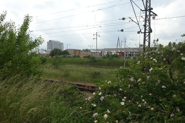 Prodej, Pozemky pro komerční výstavbu, 10182 m²