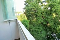 P1090806 (2)