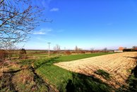 IMG_3850