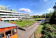 IMG_6282