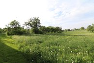 IMG_6036