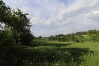 IMG_6033