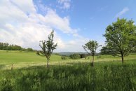 IMG_6045