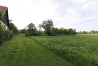 IMG_6016