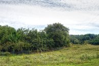 DSC08494