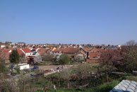 SAM_6768