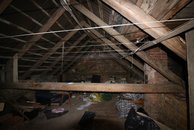 IMG_1504