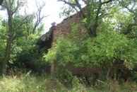 IMG_3167