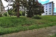 IMG_9458