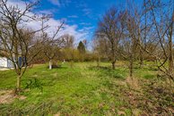 IMG_4118