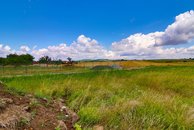 IMG_6744