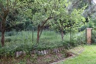 IMG_6266