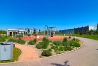 IMG_5529
