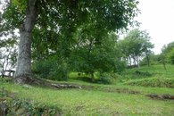 DSCN1416