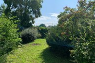 IMG_0855
