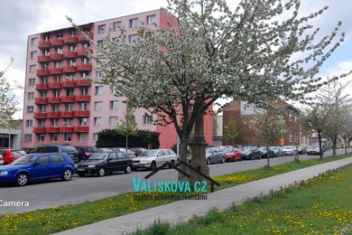 Prodej, Byty 1+kk, 28m² - Kroměříž, Ev.č.: 01302