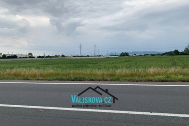 IMG_4307