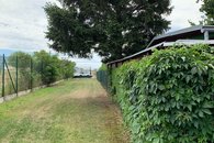 IMG_4421