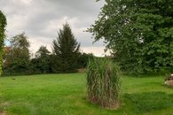IMG_5605