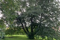 IMG_5600