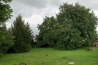 IMG_5609