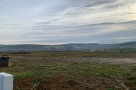 IMG_6990